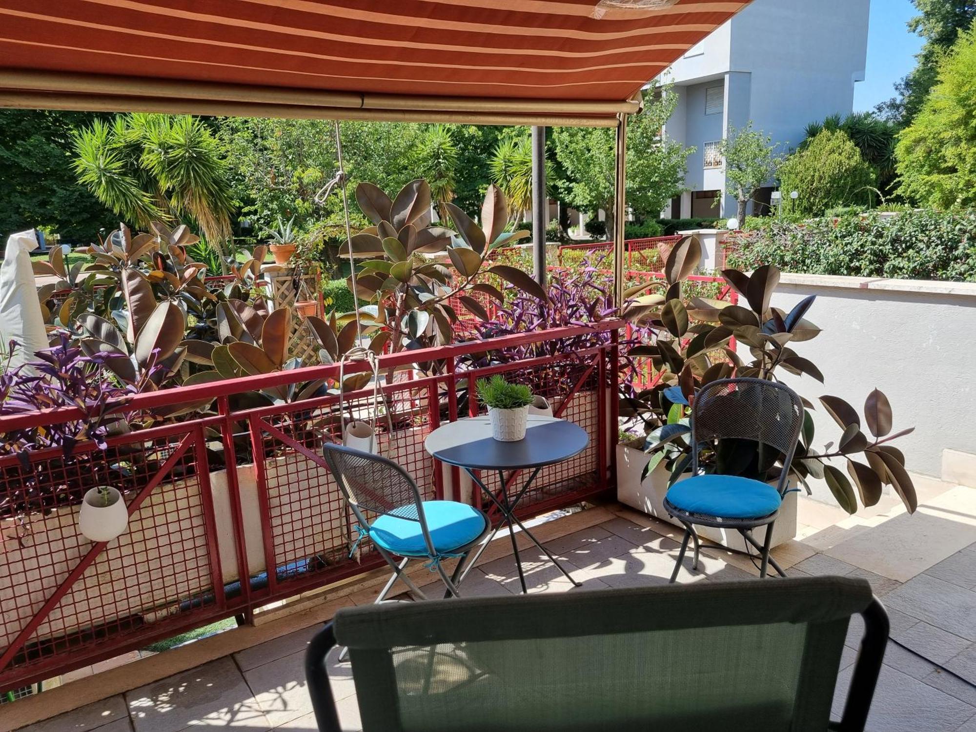 Intero Appartamento Con Giardino E Parcheggio Roma Exterior foto